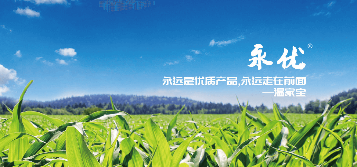 畫(huà)闆 5.png